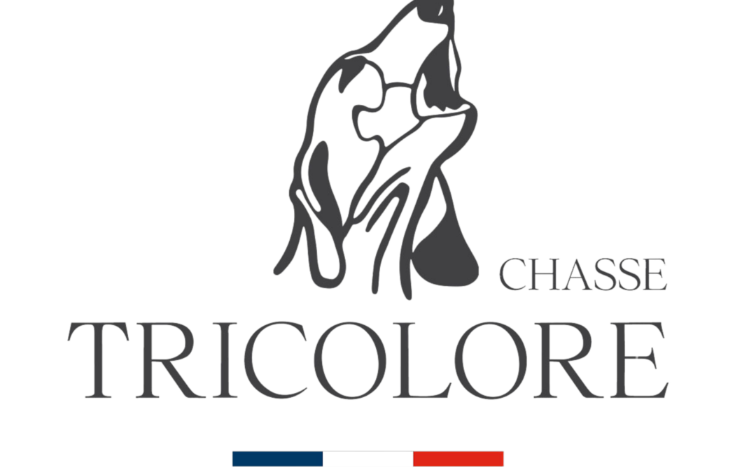 VIDEOS & PHOTOS // Chasse Tricolore