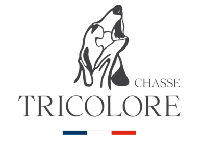 VIDEO & PHOTO // Chasse Tricolore