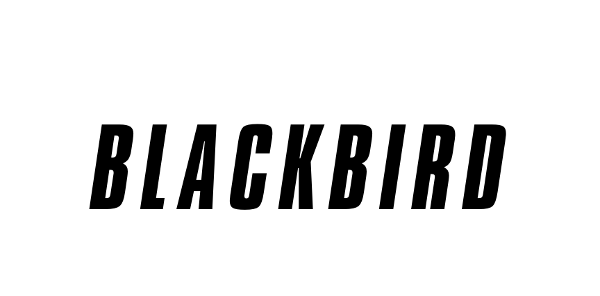 Vidéos // Black Bird